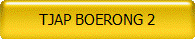 TJAP BOERONG 2